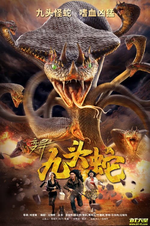 Variation Hydra (2020) poster