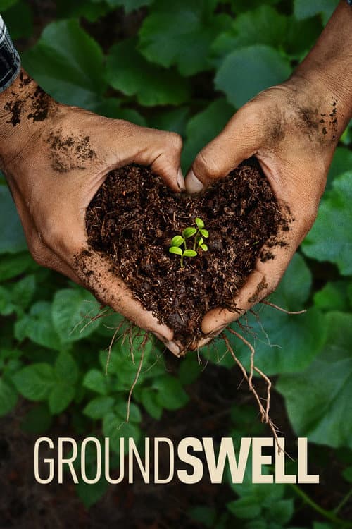 Groundswell (2026) poster