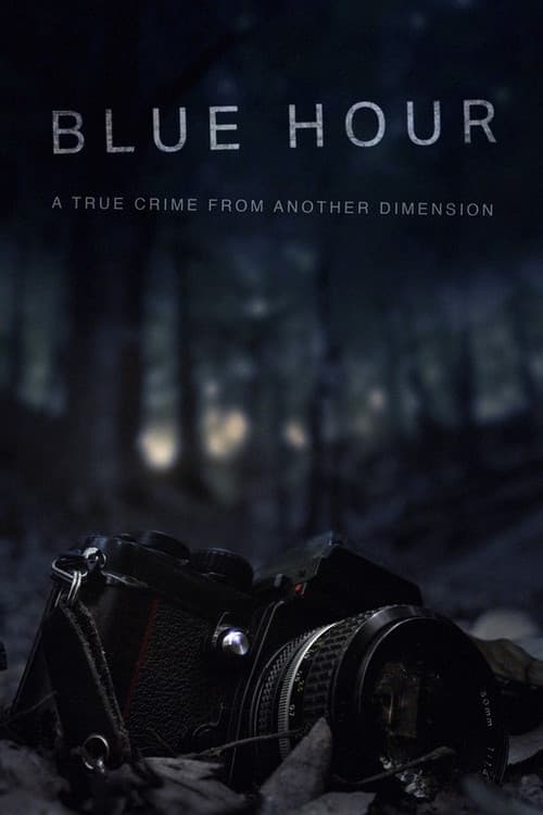 Blue Hour: The Disappearance of Nick Brandreth (2023) poster
