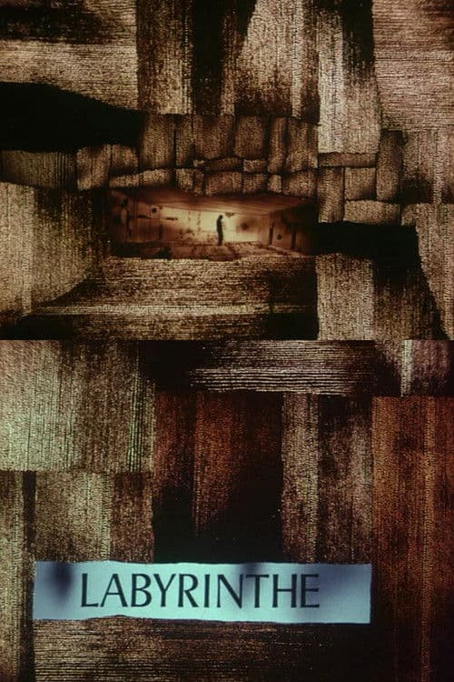 Labyrinth (1969) poster