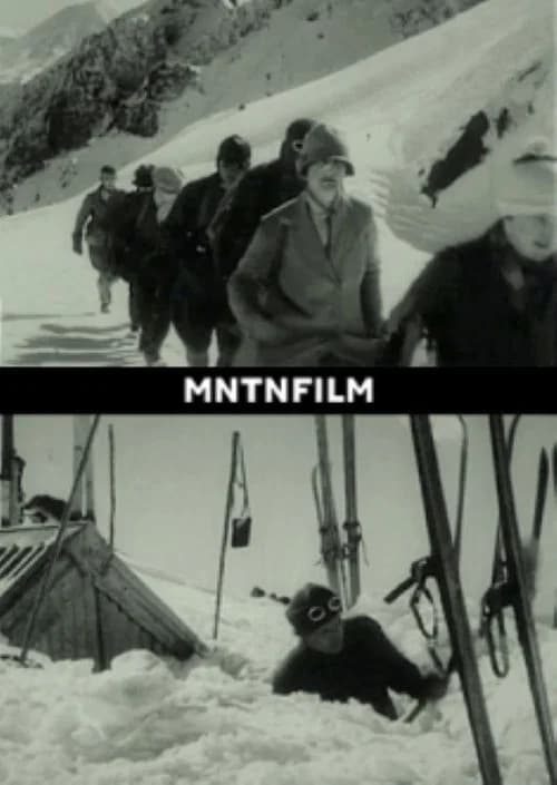 Snowdrift poster