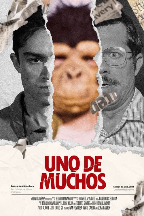 Uno De Muchos poster