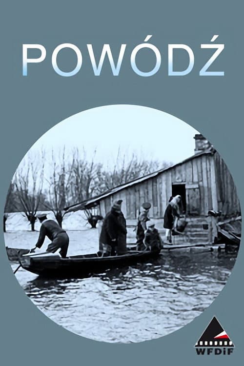 Storm in Poland (1947) poster