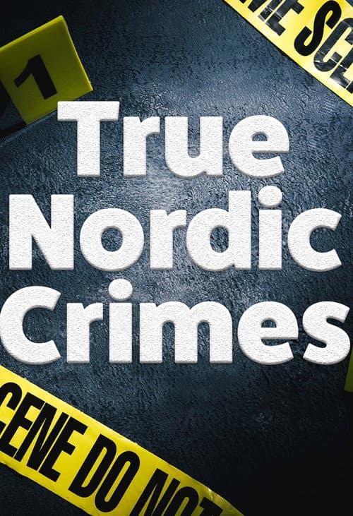 True Nordic Crimes (2015) poster