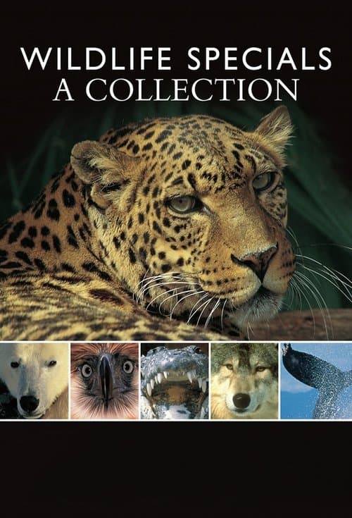 Wildlife Specials (1995) poster
