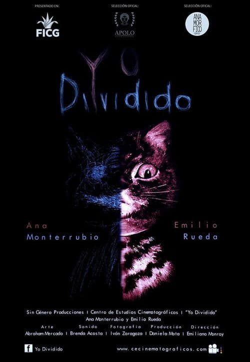 Yo Dividido (2016) poster
