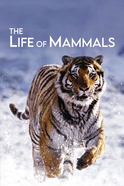 The Life of Mammals (2002) poster