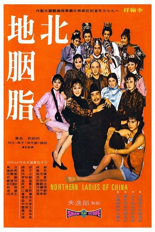 Facets of Love (1973) poster