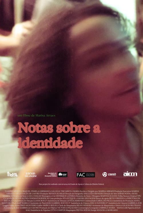Notes on Identity (2024) poster