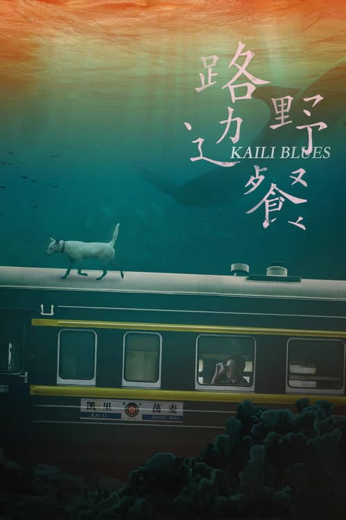 Kaili Blues (2016) poster