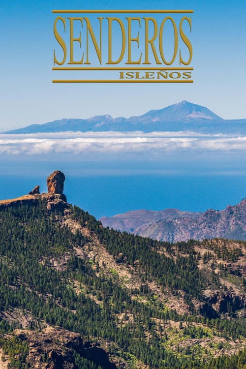 Senderos isleños (1992) poster