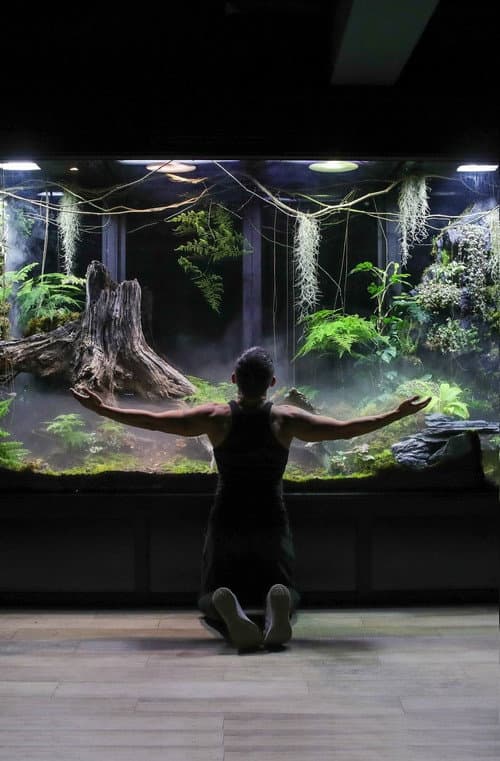 My Giant Cloud Rainforest Vivarium (2023) poster