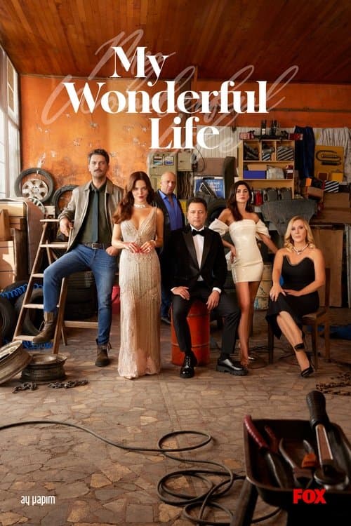 My Wonderful Life (2023) poster