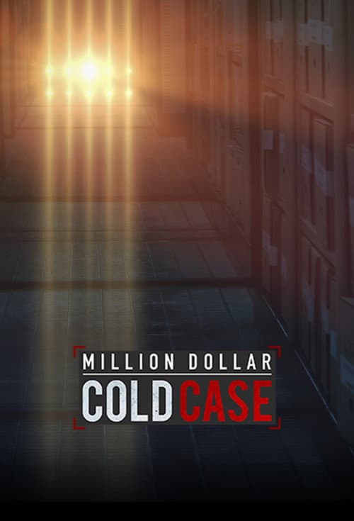 Million Dollar Cold Case (2017) poster