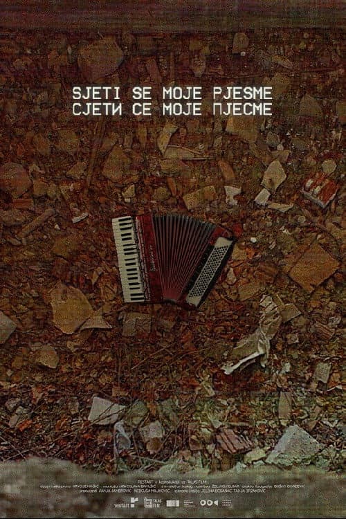 Remember My Song (2026) poster