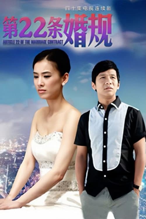 第22条婚规 (2013) poster