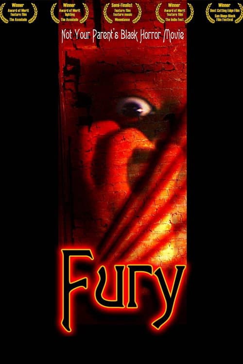 Fury (2009) poster