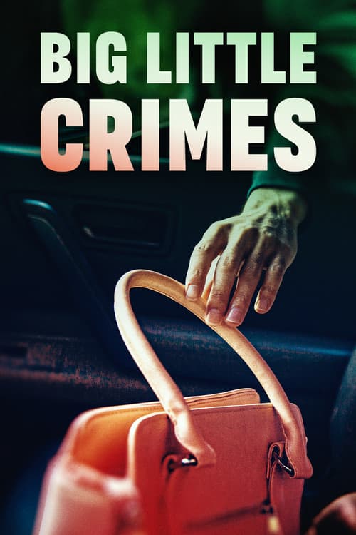 Big Little Crimes (2023) poster