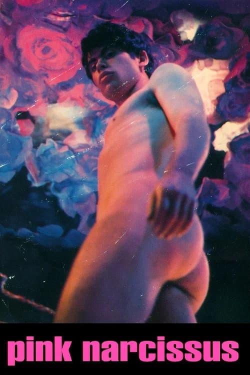 Pink Narcissus poster