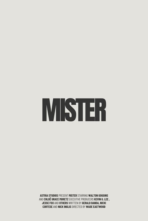 Mister poster
