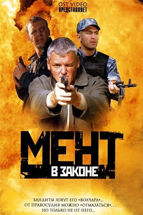 Cop in Law (2008) poster