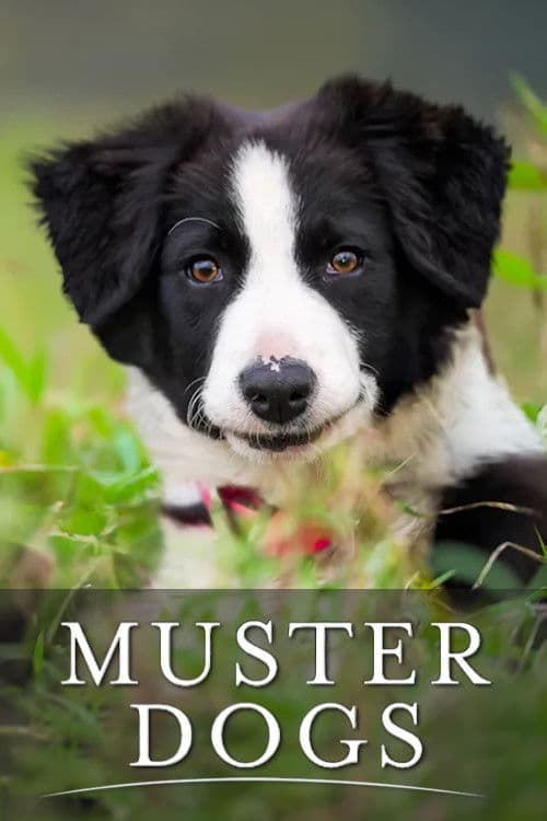 Muster Dogs (2022) poster