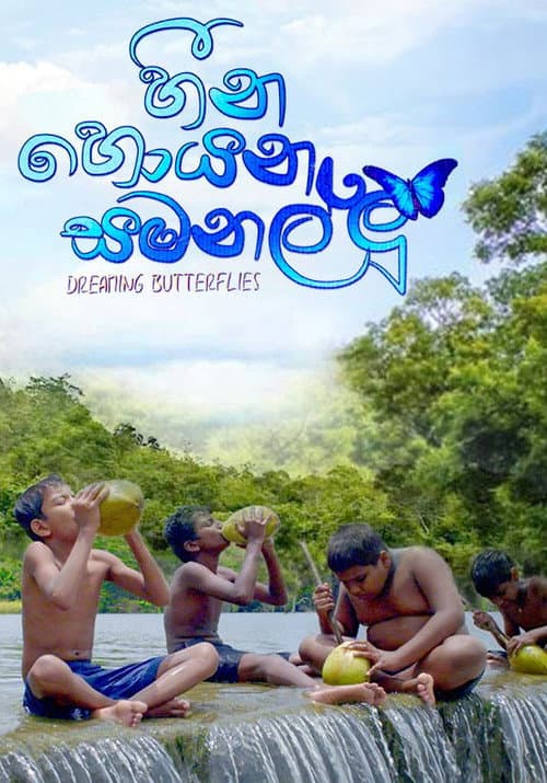 Dreaming Butterflies (2017) poster