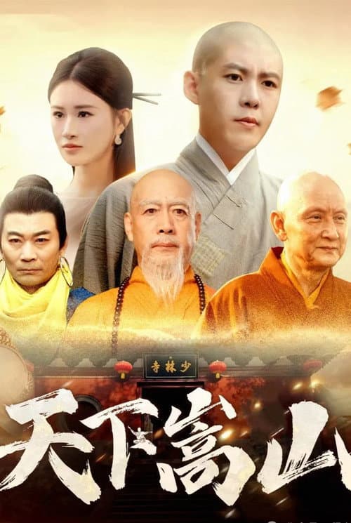 天下嵩山 (2024) poster