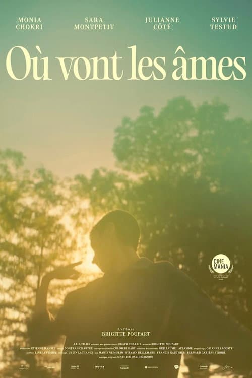 Where Souls Go poster