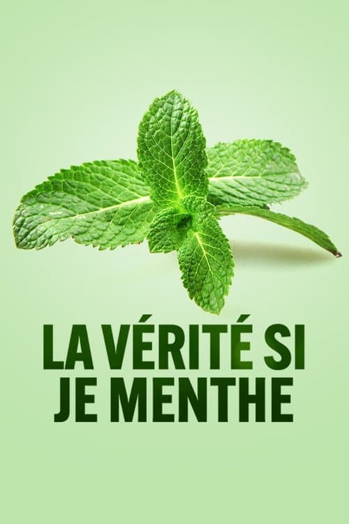 La vérité si je menthe poster