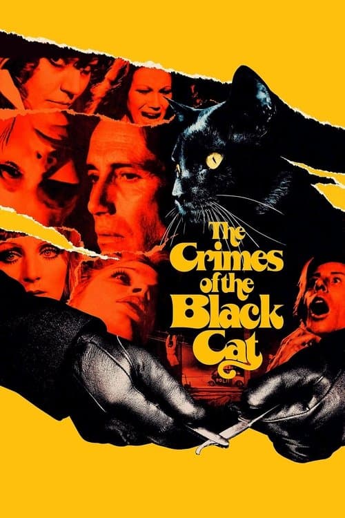 The Crimes of the Black Cat (1972) poster