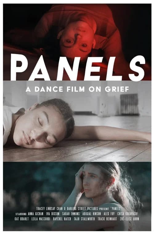 Panels poster