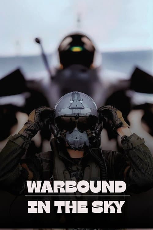 Warbound: In The Sky (2025) poster