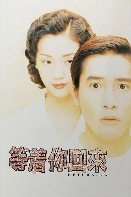 The Returning (1994) poster