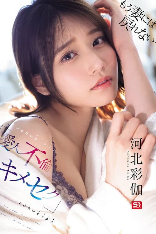 もう妻には戻れない… いけないカンケイ（爱人不伦）といけないセックス（キメセク） (2025) poster