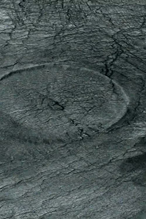 Whirlpool poster