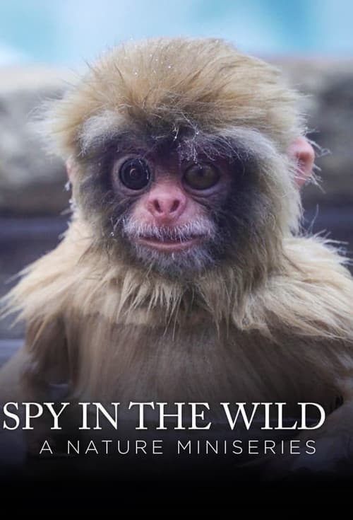 Spy in the Wild (2017) poster
