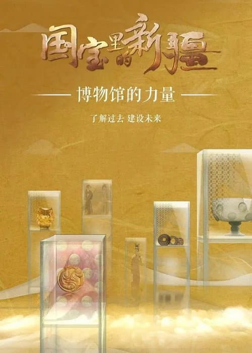 国宝里的新疆 poster