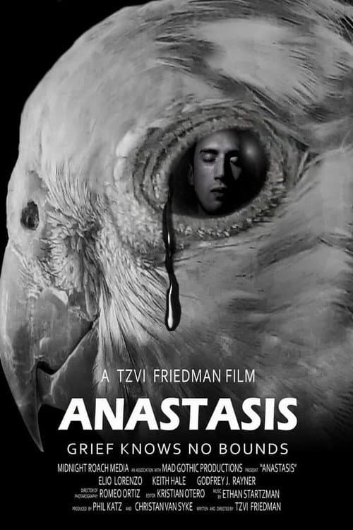 Anastasis (2020) poster