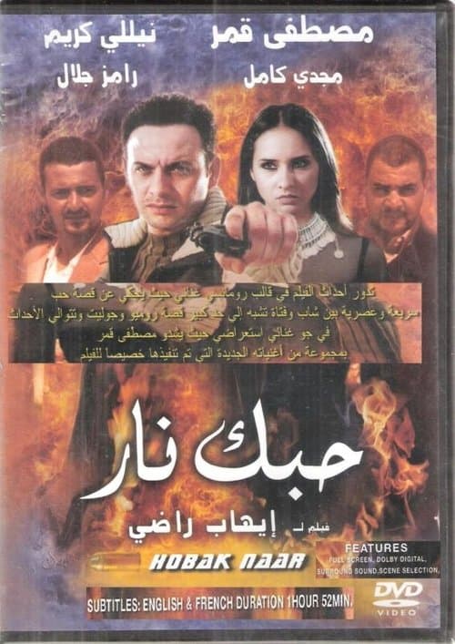 Your Love's Fire (2004) poster