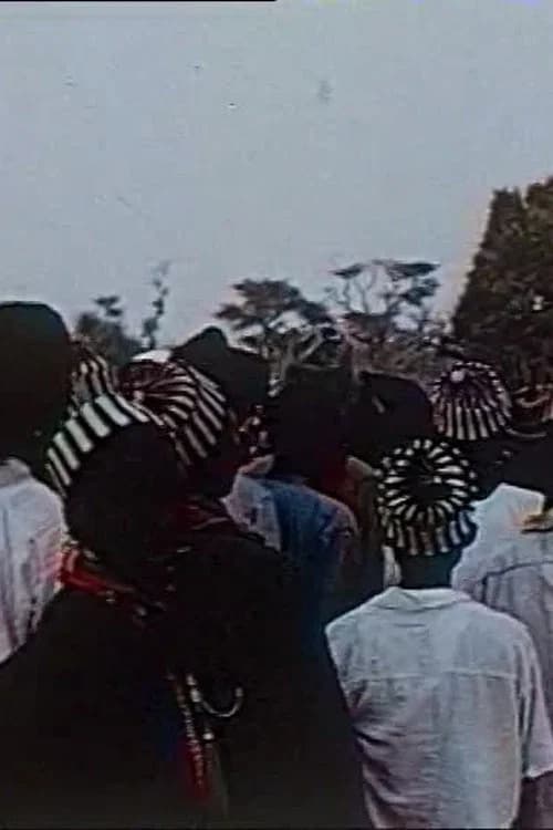 Réjouissances sénégalaises poster