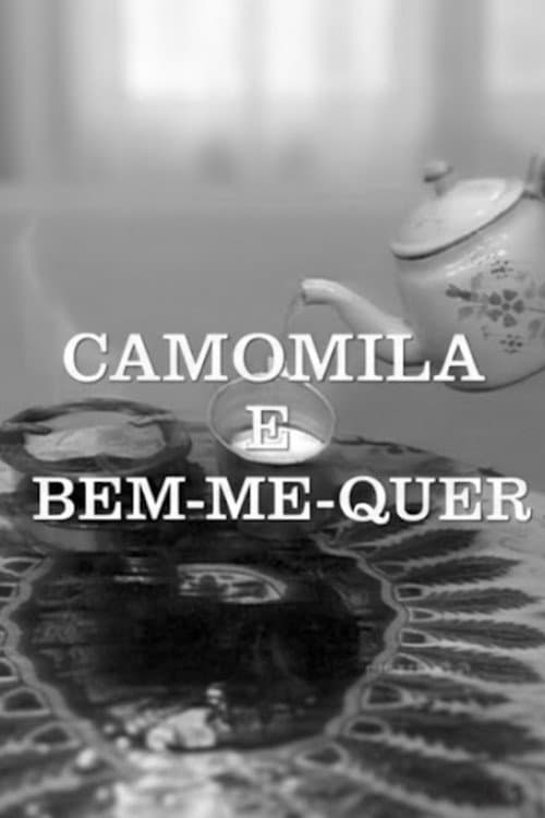 Camomila e Bem-Me-Quer (1972) poster