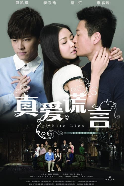 White Lies (2011) poster