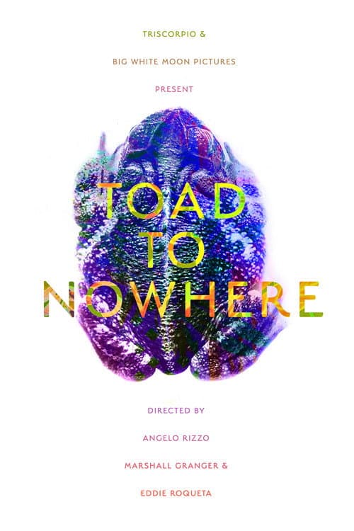 Toad to Nowhere poster