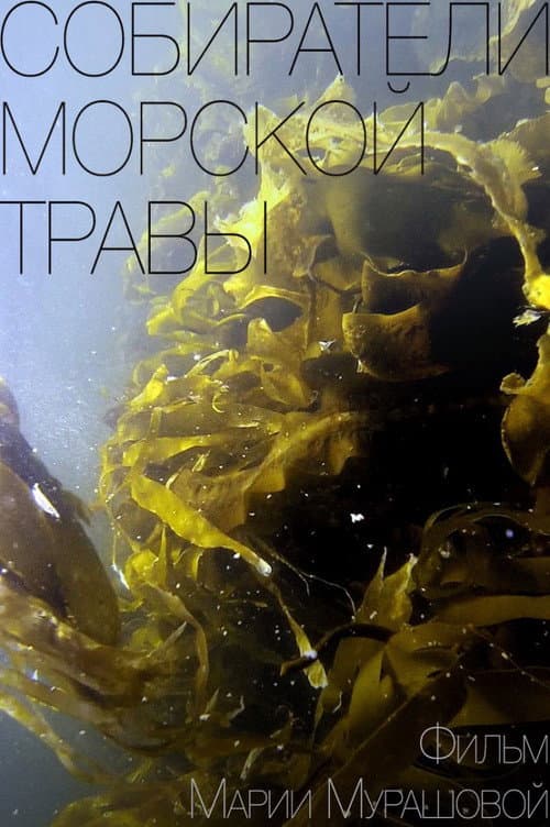 Gatherers of Sea Grass (2016) poster
