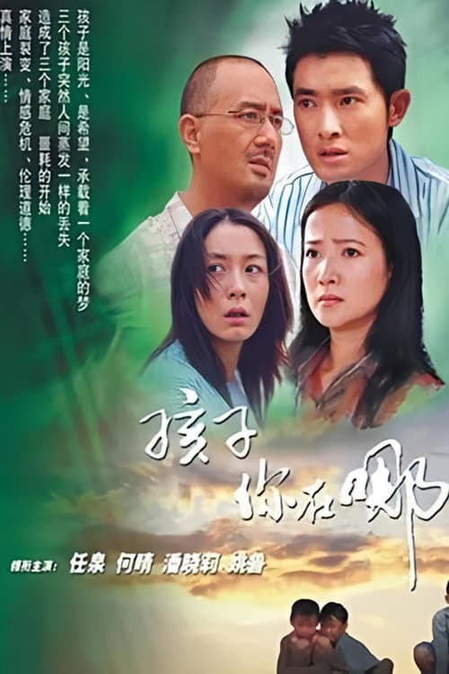 孩子你在哪里 (2006) poster
