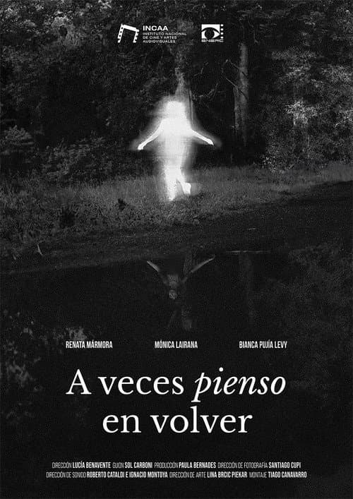 Sometimes I think about coming back poster