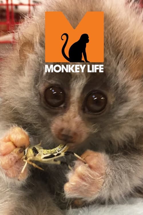 Monkey Life (2007) poster