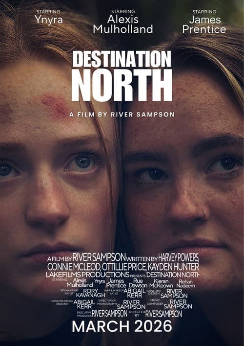 Destination North poster
