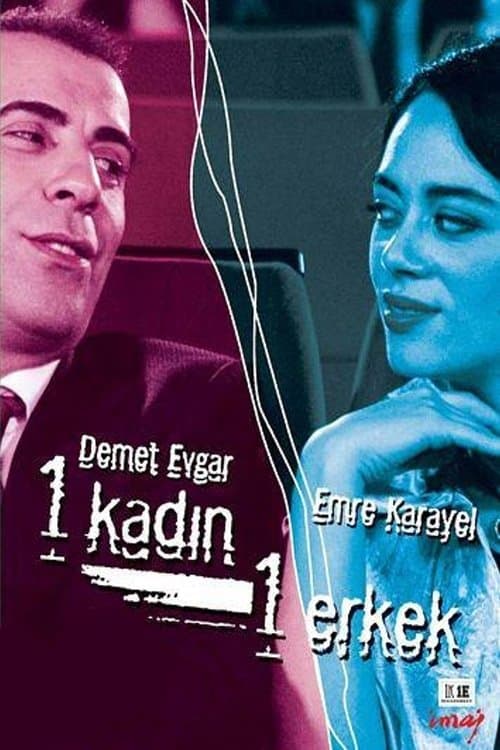1 Woman 1 Man (2008) poster